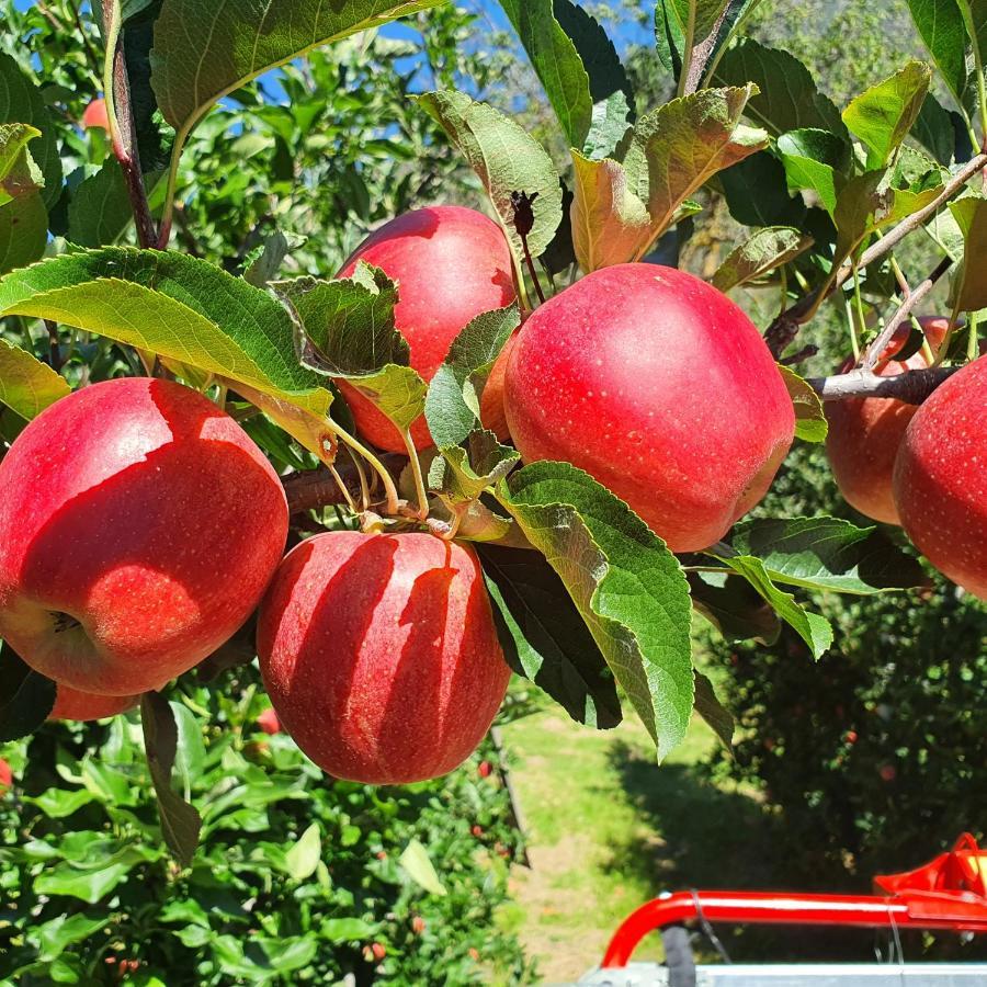 Mareinhof Vetzan-Apples,Apartment&More Silandro Exterior foto